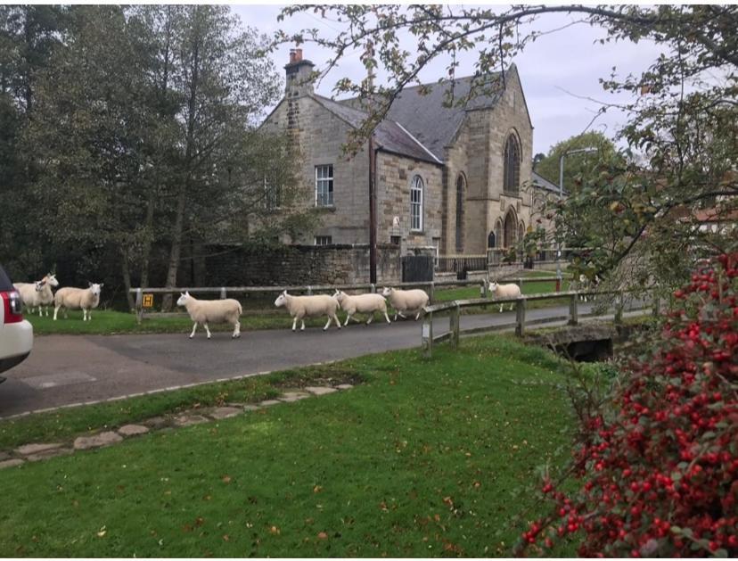 Floyter House North Yorkshire Moors National Park Danby Exterior foto